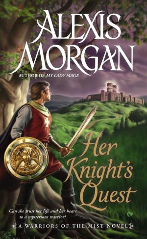 Cover of the book Her Knight's Quest by Elaine Viets