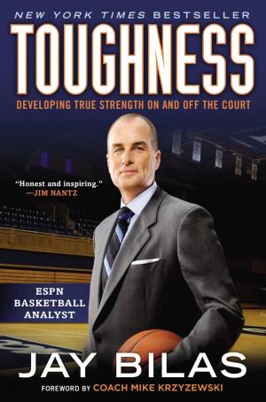 Cover of the book Toughness by Rebecca M. Hale
