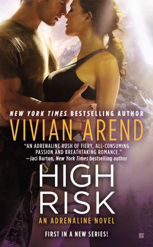 Cover of the book High Risk by Chloe Lafleur