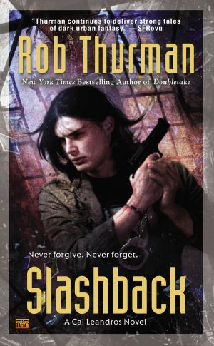 Cover of the book Slashback by Nick Rosen