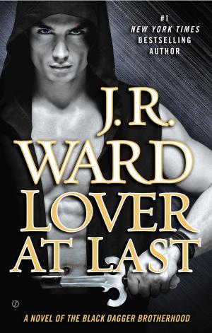 Cover of the book Lover At Last by Diana L. Wicker