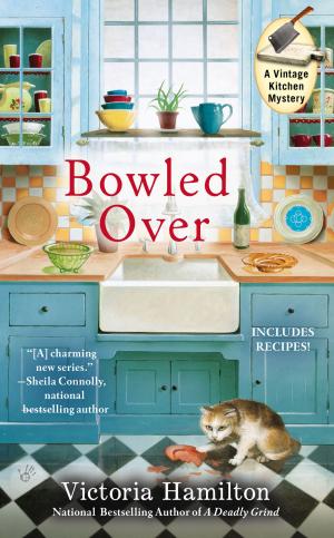 bigCover of the book Bowled Over by 