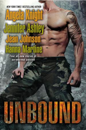 Cover of the book Unbound by Juliet Blackwell