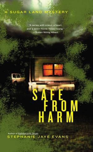 Cover of the book Safe From Harm by Casey Mayes