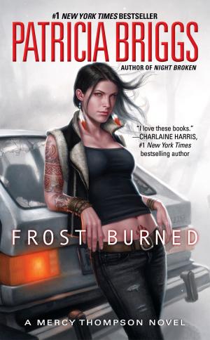 Cover of the book Frost Burned by Elizabeth Brundage