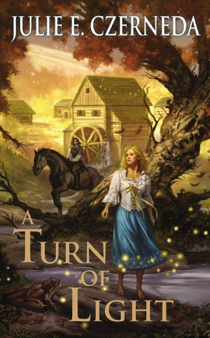 Cover of the book A Turn of Light by Christopher Ruocchio