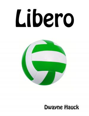 Cover of the book Libero by Ebook-Guide