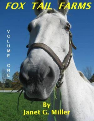 Cover of the book Fox Tail Farms: A Collection of Horse and Farm Short Stories: Volume One by Rock Page