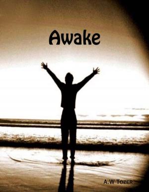 Cover of the book Awake by Tony Kelbrat