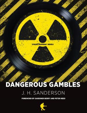 bigCover of the book Dangerous Gambles by 