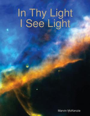 Cover of the book In Thy Light, I See Light by Monika Schmitt