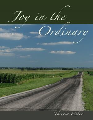 Cover of the book Joy in the Ordinary by Jodie Sandiford