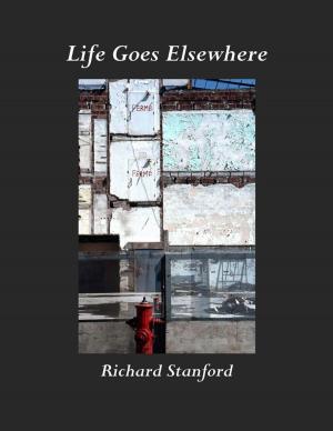 Cover of the book Life Goes Elsewhere by Rachel V. Olivier