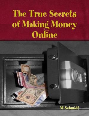 Book cover of The True Secrets of Making Money Online