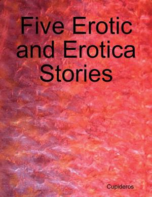 Book cover of Five Erotic and Erotica Stories