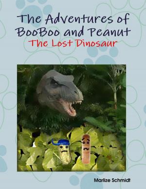 Cover of the book The Adventures of BooBoo and Peanut: The Lost Dinosaur by Tina Long