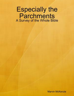bigCover of the book Especially the Parchments: A Survey of the Whole Bible by 