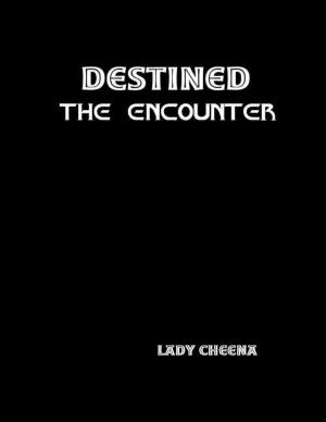 Cover of the book Destined: The Encounter by Jim C. Hines