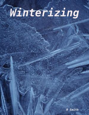 Cover of the book Winterizing by Clive W. Humphris