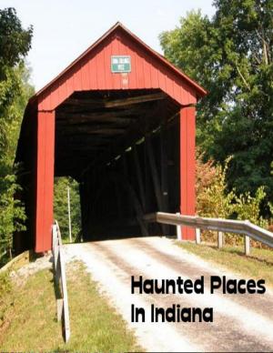 Cover of the book Haunted Places In Indiana by MORI Hiroshi