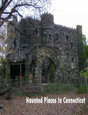 Cover of the book Haunted Places In Connecticut by Dennis Herman