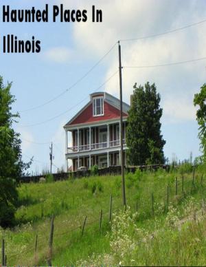 Book cover of Haunted Places In Illinois