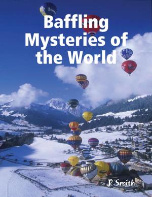 Cover of the book Baffling Mysteries of the World by Niels W. Erickson
