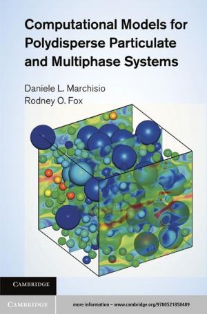 Book cover of Computational Models for Polydisperse Particulate and Multiphase Systems