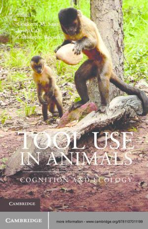 Cover of the book Tool Use in Animals by Kate O'Neill