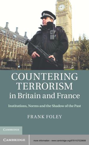 Cover of the book Countering Terrorism in Britain and France by Stephen White