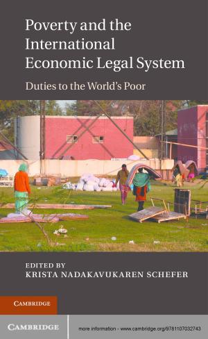 Cover of the book Poverty and the International Economic Legal System by Ace Abbott