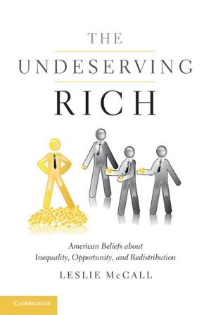 Cover of the book The Undeserving Rich by Jack Hirshleifer, John G. Riley, Sushil Bikhchandani