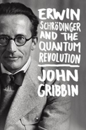 Book cover of Erwin Schrodinger and the Quantum Revolution