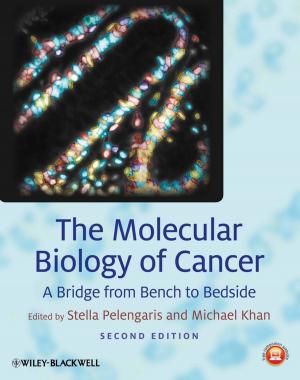 Cover of the book The Molecular Biology of Cancer by Lena Malouf
