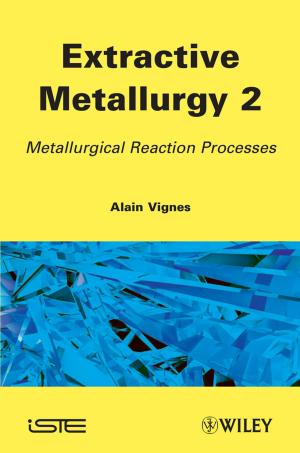 Cover of the book Extractive Metallurgy 2 by Paul Marnell