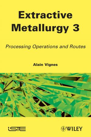 Cover of the book Extractive Metallurgy 3 by Vivian Scott