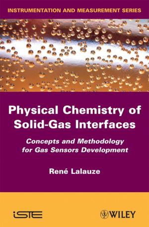 Cover of the book Physico-Chemistry of Solid-Gas Interfaces by Paul T. Anastas
