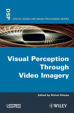 Cover of the book Visual Perception Through Video Imagery by Joseph T. Wells