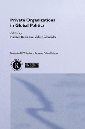 Cover of the book Private Organisations in Global Politics by Peter J. Hutchings