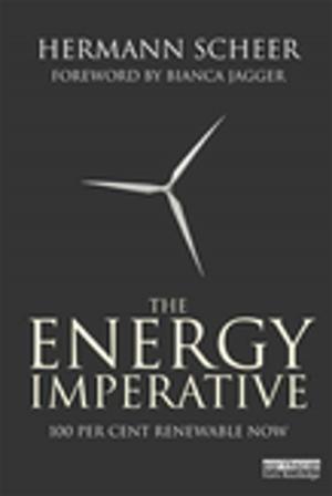 Cover of the book The Energy Imperative by David Patrick Houghton