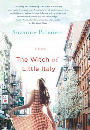 Cover of the book The Witch of Little Italy by Louis Gross