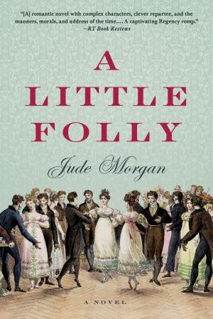 Cover of the book A Little Folly by Louisa Edwards