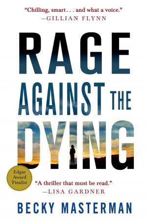 Cover of the book Rage Against the Dying by Karen Musser Nortman