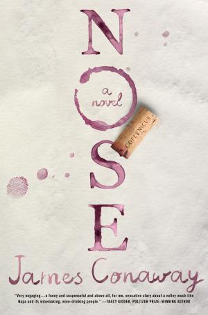 Cover of the book Nose by Bill Janovitz