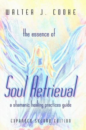 Cover of the book The Essence of Soul Retrieval: A Shamanic Healing Practices Guide: Expanded Second Edition by C.K. Omillin