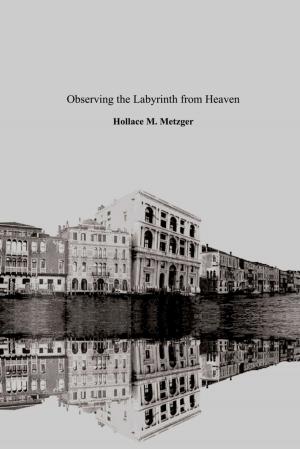 Cover of the book Observing the Labyrinth from Heaven by Sue Woolley