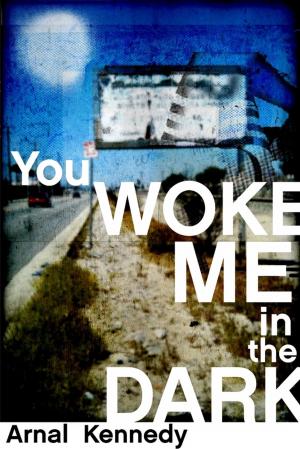 Cover of the book You Woke Me in the Dark by Harriet Cliff