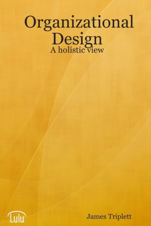 Cover of the book Organizational Design: A Holistic View by Scott C. Anderson