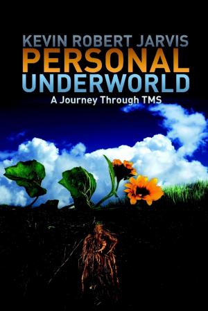 Cover of the book Personal Underworld : A Journey Through TMS by Darrel Miller