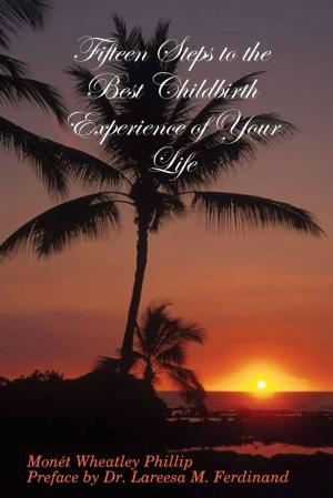 Cover of the book Fifteen Steps to the Best Childbirth Experience of Your Life by Shaneekqua Bell